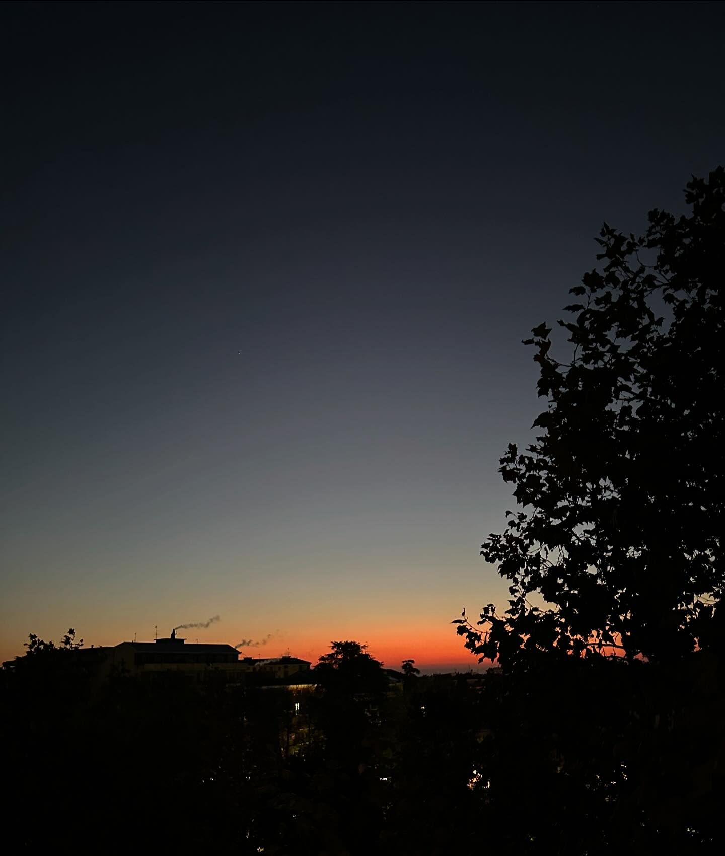 「なんで関西弁？笑」「北信介やん」バレー石川真佑の"わたしに必要な言葉"にツッコミ続出！