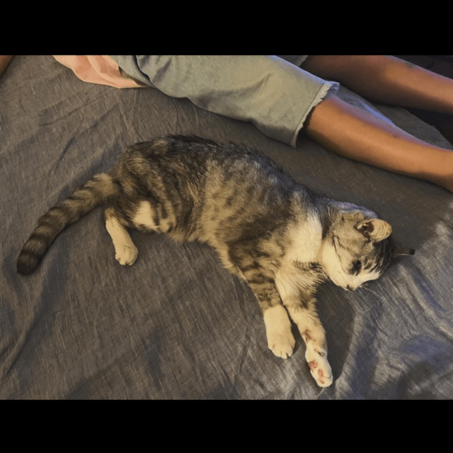 坂本美雨が愛娘なまこちゃんと愛猫のリラックスシーンを激写！