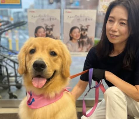 高橋ひとみの愛犬が初めての〇〇挑戦にファンほっこり