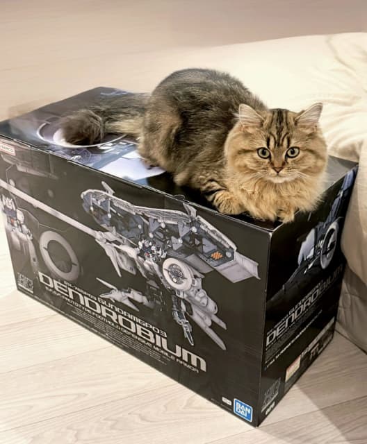 東雲うみが新しく買ったガンブラの上に愛猫「乗りこなしてみせるさ、どんな機体だって」