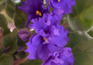 工藤静香、3月生まれのファンに祝福メッセージ「新しい発見がある一年を」