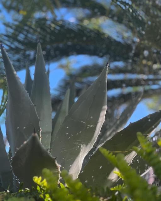 「いつもどおりにまた進みます」話題の映画出演の人気俳優が50歳の誕生日を迎える