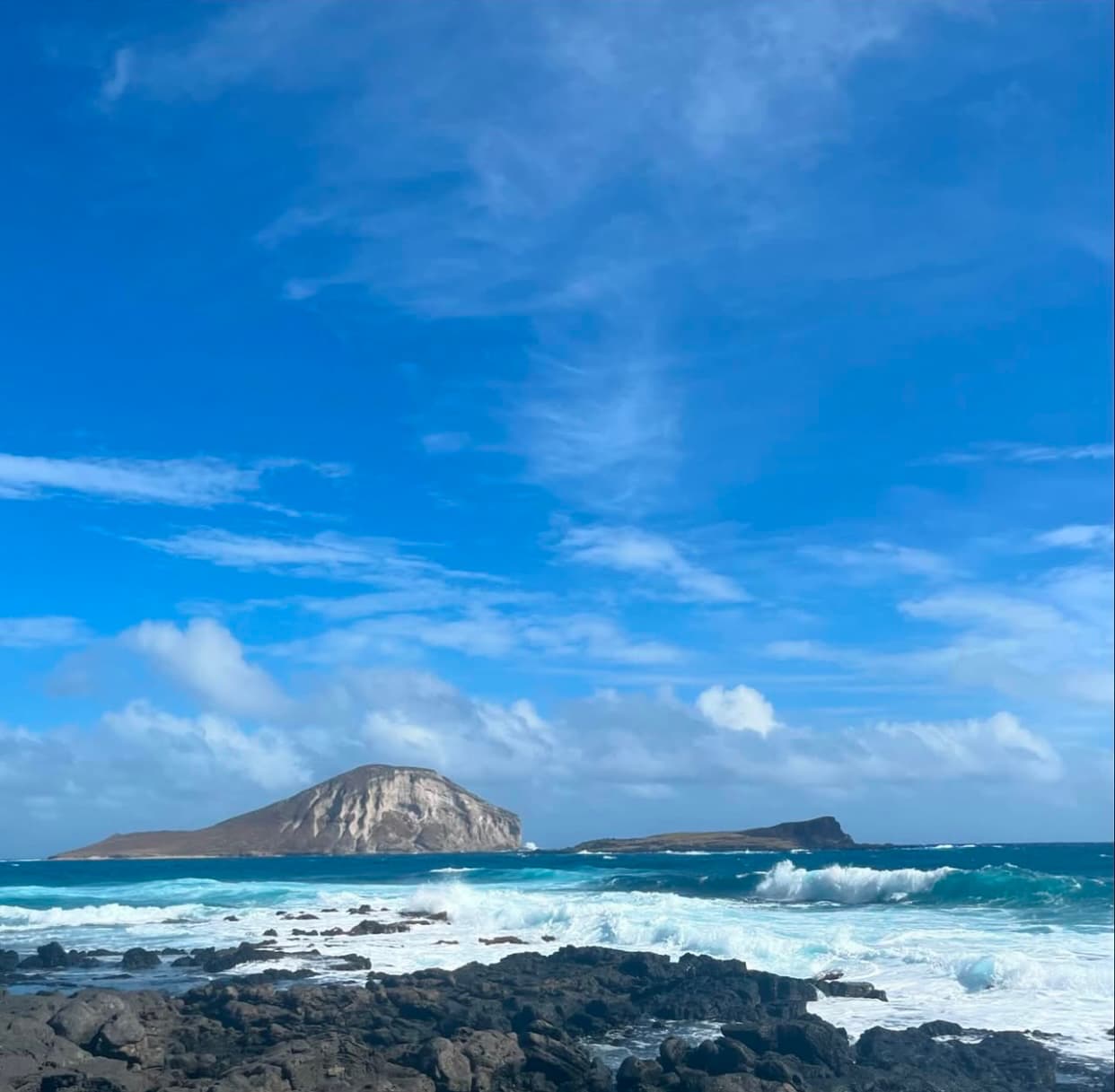 エンゼルス・菊池雄星の妻、深津瑠美がハワイでダルビッシュ聖子と再会