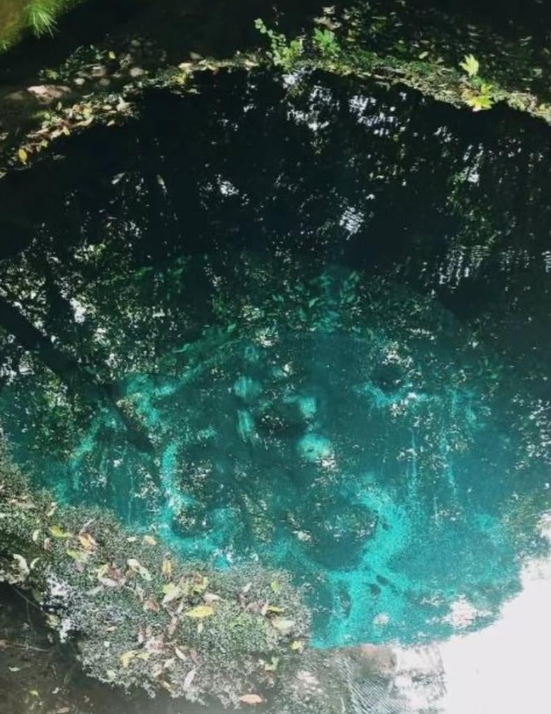 「東洋一の湧水」で女子プロレス！神取忍、清水町ふるさと大使イベントに登場