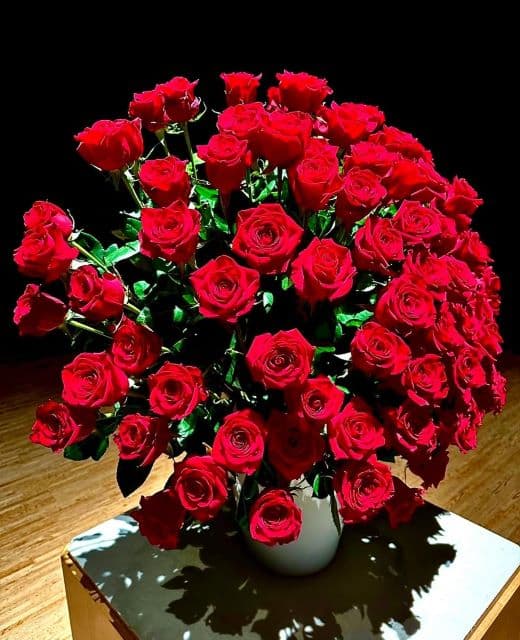 夏木マリ　”#おはようシリーズ”でゴージャスな赤いバラの写真を公開！途上国の子どもたちに思いを寄せる