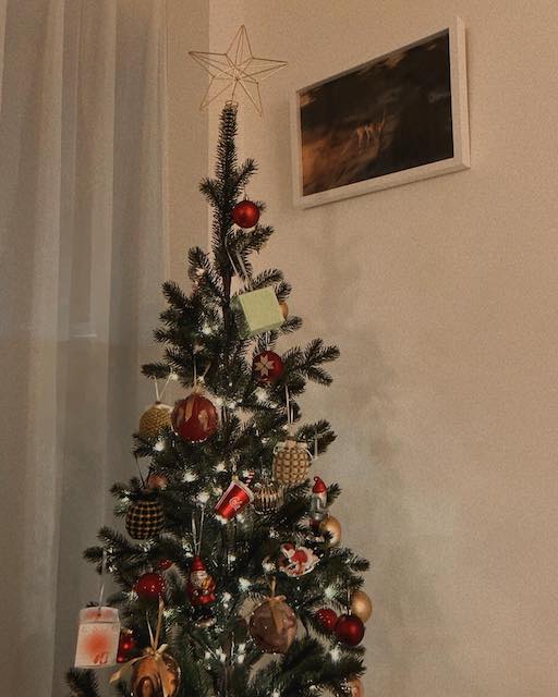 長濱ねるが自慢のクリスマスツリーを披露！こだわりポイントはオーナメント？