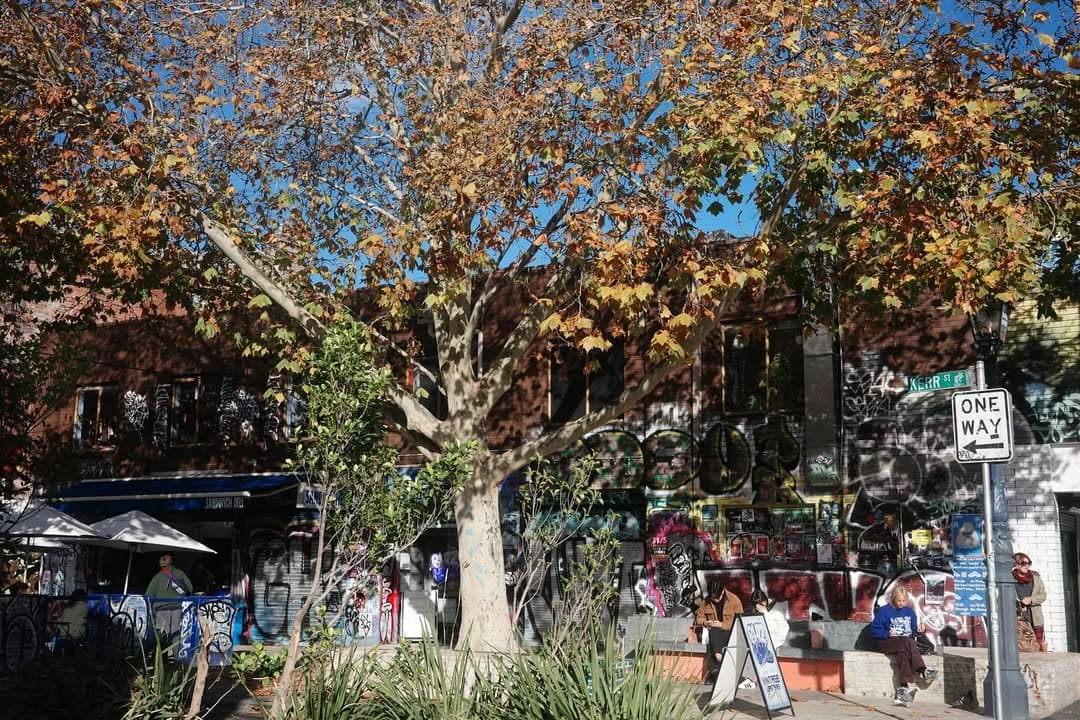 「メルボルン、冬」高橋メアリージュン、嫉妬に狂うであろう役柄で意識していることとは…？！