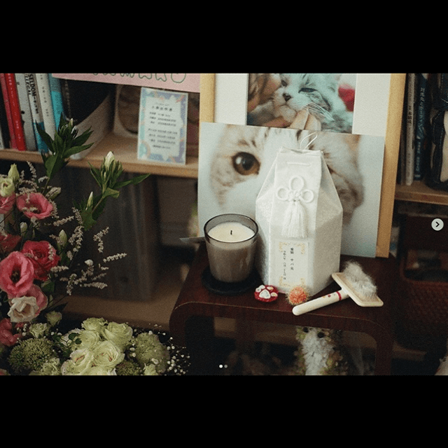 坂本美雨が「夢で逢いたい」と告げる”サバ美”へ、猫好きのファンが共鳴する