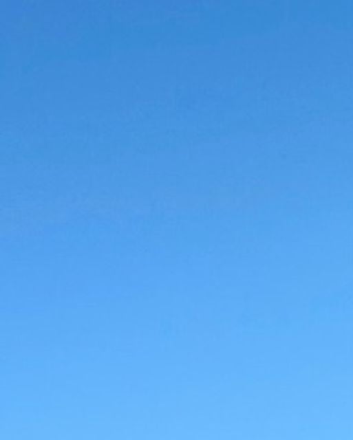 「写っている人物は私ではありません」フジ・竹俣紅アナ、