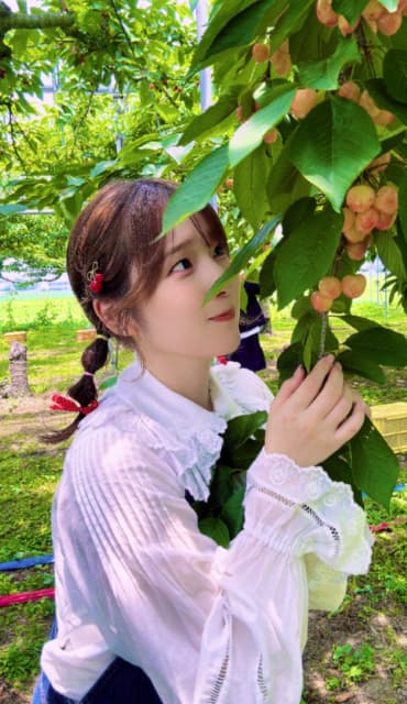 「1日さくらんぼに夢中でした」声優・内田真礼がさくらんぼ狩りへ