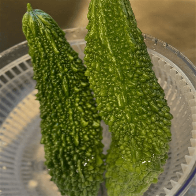 西山茉希の新発見！”西山食堂”で見せた逸品にファン「美味しそう！」と舌を巻く