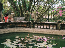 武田玲奈、ドラマ「東京サラダボウル」クライマックスへ「いよいよ今夜！」