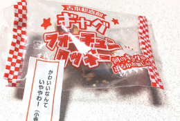 小寺真理、「かわいいやなんていややわー」担当ギャグにファン歓喜！