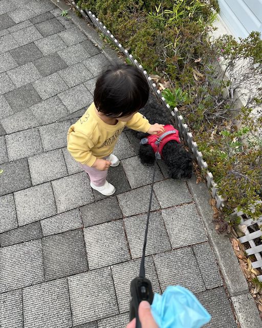 丸山桂里奈 「とにかく不安しかなかった」愛犬の緊急入院報告に心配の声