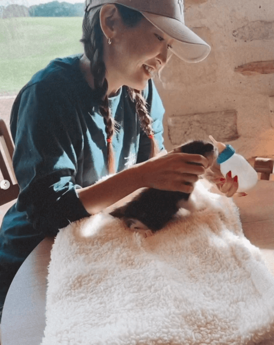 「救える命があるということ」紗栄子、1ヶ月で105匹の猫をレスキューした保護猫活動の動画を公開