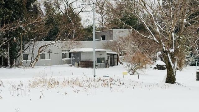 「是非とも伺ってみたいです」尾木ママ、故郷の〇〇が雪に見舞われる！ファンからは”そんなところが…”と驚きの声！