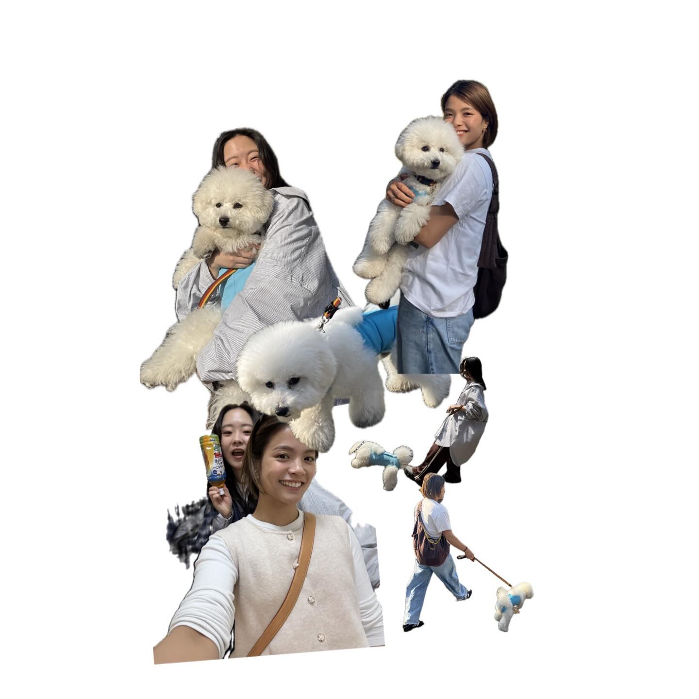 阿部詩が「可愛すぎる」と話題の愛犬とのオフショットを公開！