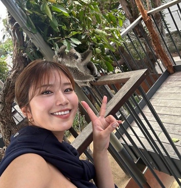 稲村亜美がシドニーで大好きなコアラに課金！？