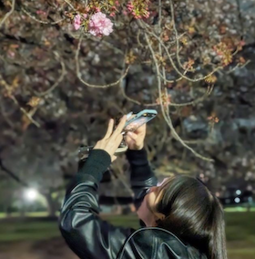 吉岡里帆がなりすましに「注意喚起です」