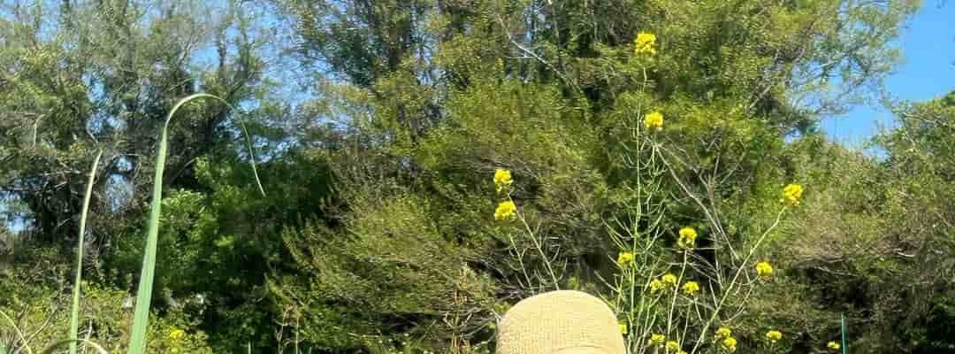 杉田かおる、自然農を満喫する様子を公開　「癒される」とファンの声続出