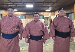 「寅武蔵、藤武蔵、馬渕が成人式を迎える」武蔵川部屋の温かな祝福に感動の声！