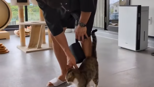 武井壮が“さかがみ家のウルちゃん”と癒やしの時間！可愛すぎる鳴き声にメロメロ動画公開