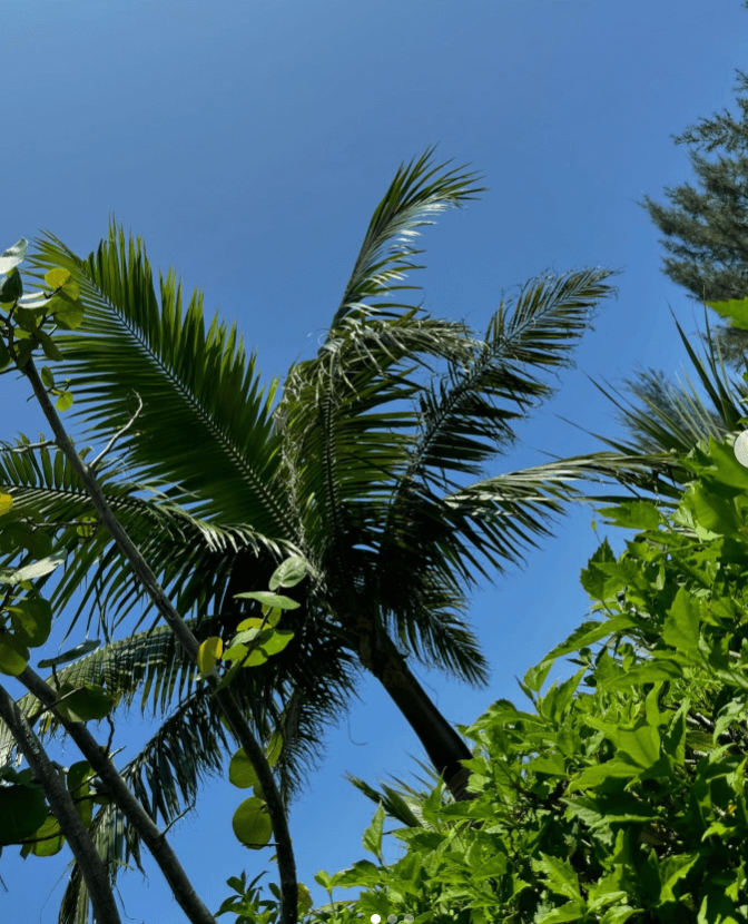 加護亜依、Instagramで夏休みの充電完了を報告「最高な夏休みでした！！」