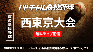 夏の高校野球
決勝 東海大菅生 - 日大三