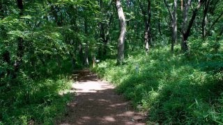 長距離に備えよう！「LONG TRAIL エネ ...