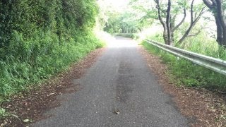 効果の高い全身エクササイズを実感しよう！「ノルディックウォーキング体験会in代々木公園」開催！