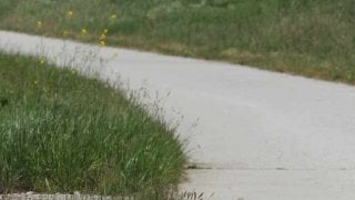 史上最もタフなレース「REEBOK FITNESS BATTLE RACE」が開催されます！