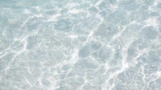 大人の水泳教室「SWIM STUDIES N/ × Speedo"AIR SWIM ...