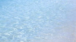 国内最大規模の大会に出よう！「木更津トライアスロン大会」のエントリーが開始されます！