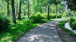 大阪城公園でノルディックウォーキング体験会が行なわれます！