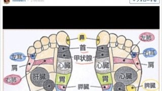 元体操・田中理恵、足のつぼイラストに「本当にきくのかなぁー？」