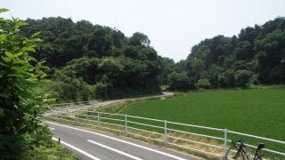 【澤田裕のさいくるくるりん】GPSの走行記録を頼りに、自転車道の痕跡をたどる