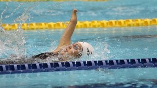 無料アプリ「NHKスポーツ」パラリンピック競技をライブ配信