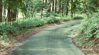 ノルディックウォーキングフェスティバル2016が北海道と神奈川で開催決定！