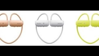 スマートスポーツギア「スマートビートレーナー」がフィットネスメニュー提供