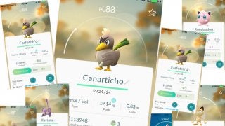 【山口和幸の茶輪記】ツール・ド・フランスのスター、カモネギを捕まえに来日？