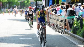 世界トライアスロンシリーズ横浜大会、12/5に一般の部エントリー開始