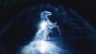 有馬記念プロモーションとしてウォータープロジェクション動画公開