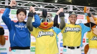 レアード2打点で加藤3勝目！北海道日本ハムが競り勝つ！