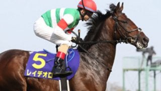 藤沢師の悲願達成へ。ダービーに的を絞ったレイデオロは好材料だらけ