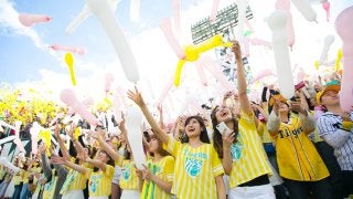 阪神タイガース女性ファンが集合！「TORACO DAY」に約5万人が来場