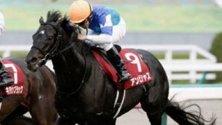 難解な安田記念。アンビシャス、ステファノス「悲願の初ＧＩ」あるぞ