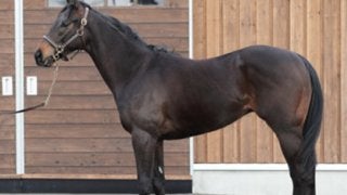 ダービー馬レイデオロの全弟レイエンダ。兄弟連覇の夢へ向けて好感触