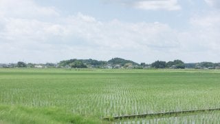 【小さな山旅】さわやか古墳山さんぽ…茨城県・梵天山