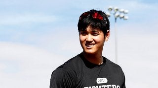 23日の公示　日ハムが大谷翔平を登録、ソフトBはデスパ、楽天はアマダーを登録