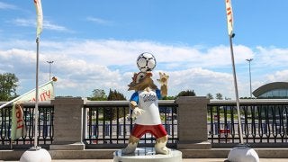 【コンフェデ杯2017】W杯まであと1年。開催地ロシア・現地レポート